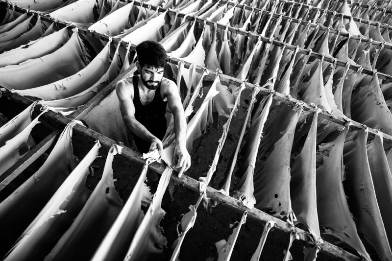 Orhan Olmez — competitive photography