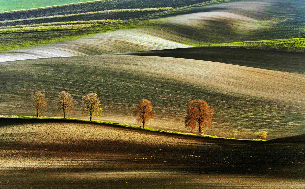 Rudolf Fukal — competitive photography